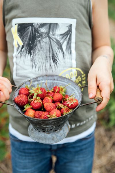 Fraises