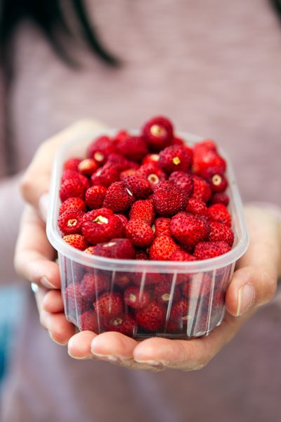Fraises des bois