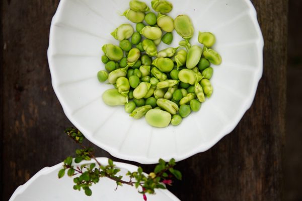 Fava Beans