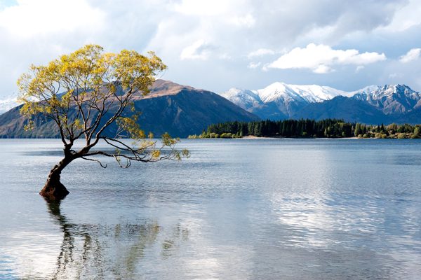 Wanaka, New Zealand