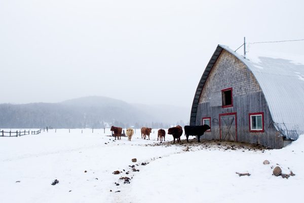 Hiver québécois, Mont Tremblant