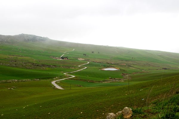 Winding Road in Sicily