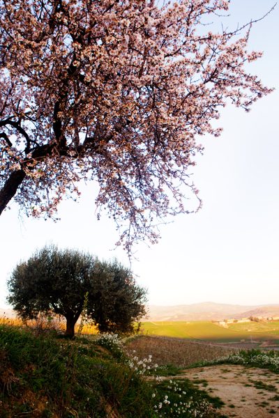 Image de Sicile
