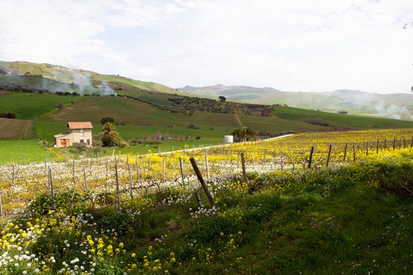 Vallelunga, Sicily