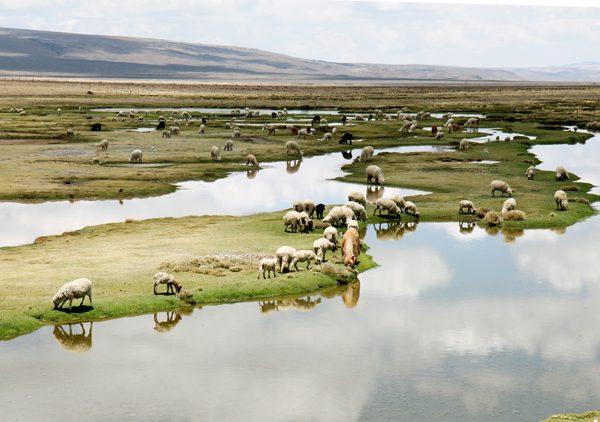Peru
