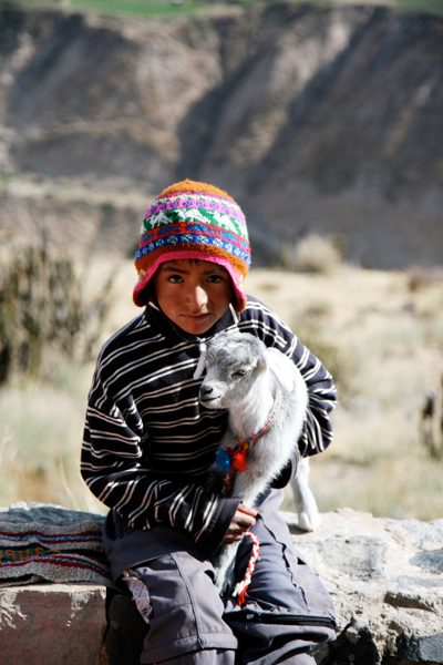 Little Boy and Goat, Peru