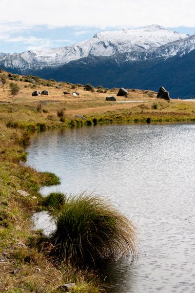 Hiking in Wanaka, New Zealand